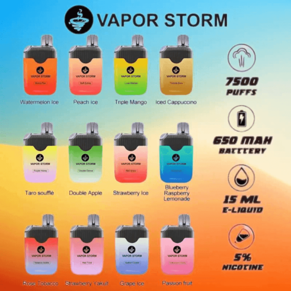 Vapor Storm風暴電子煙7500口（5%）一次性：圖片 2